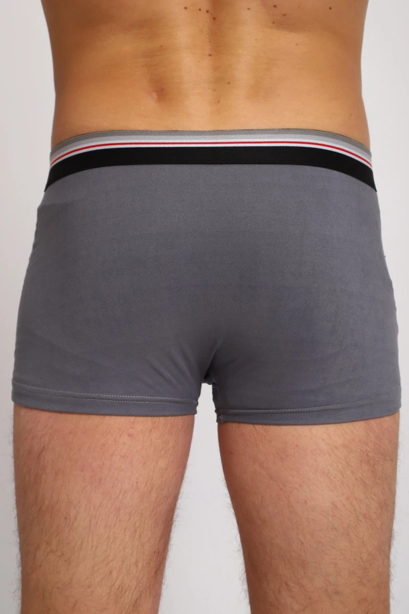 Трусы 74397 (серый)