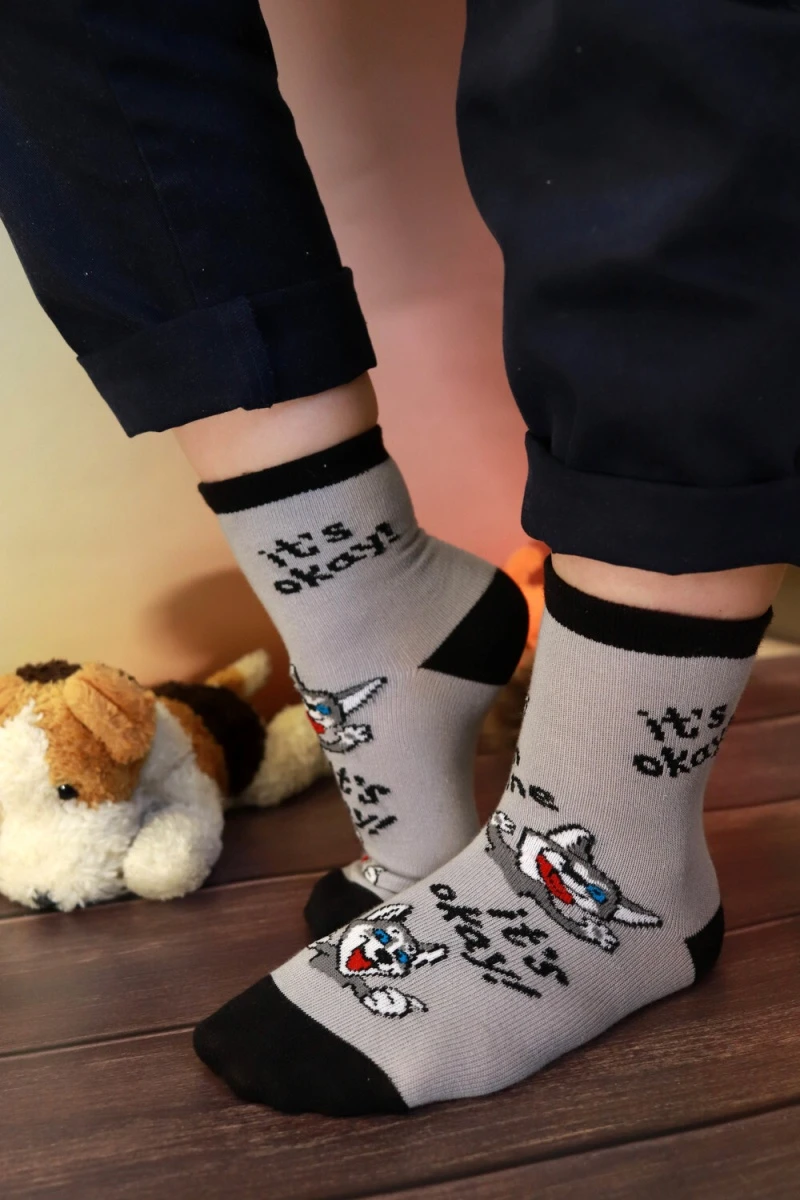 Детские носки стандарт Хаски (набор 3 пары) (серый, джинс)