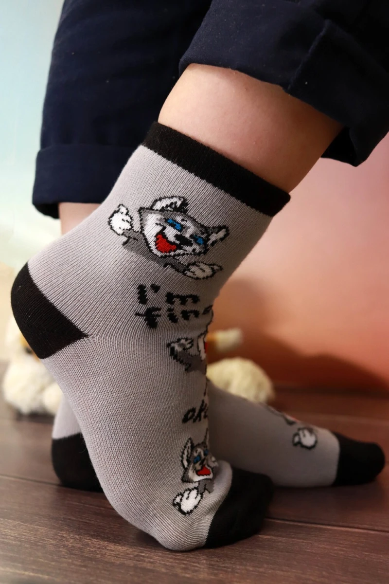 Детские носки стандарт Хаски (набор 3 пары) (серый, джинс)