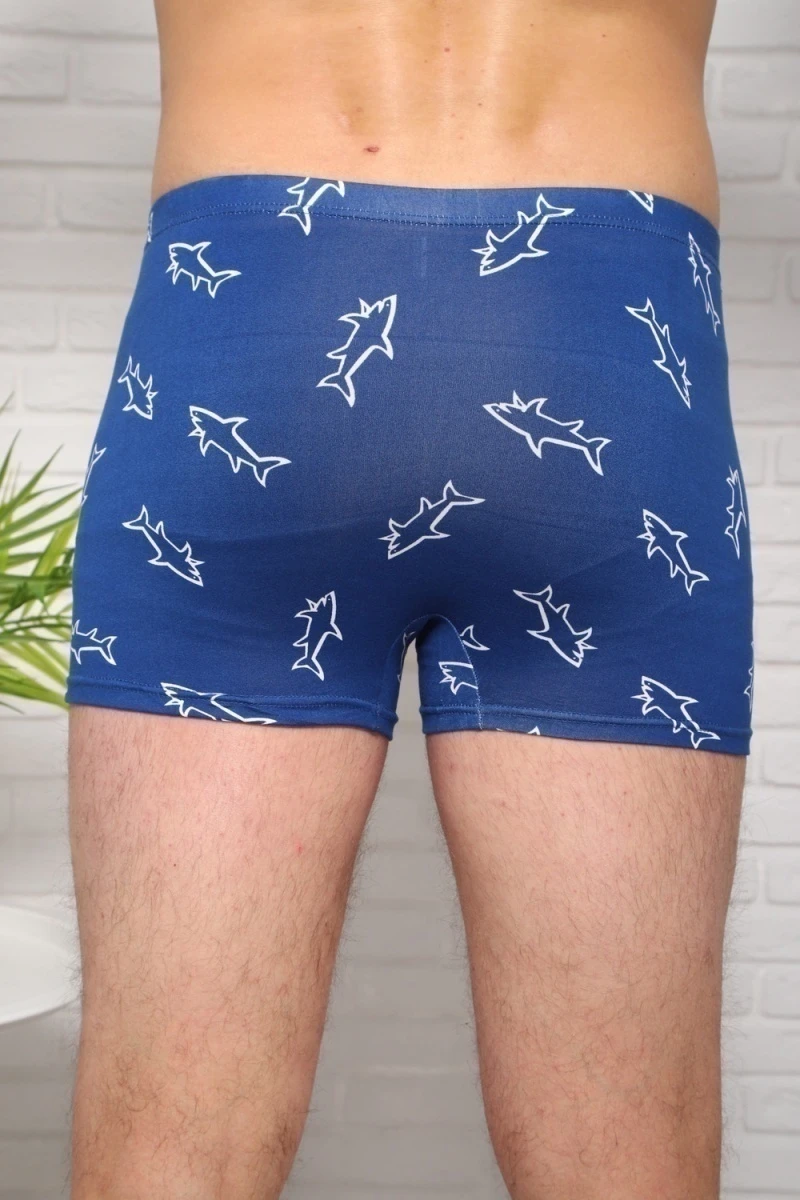 Трусы 64937 (мультицвет)