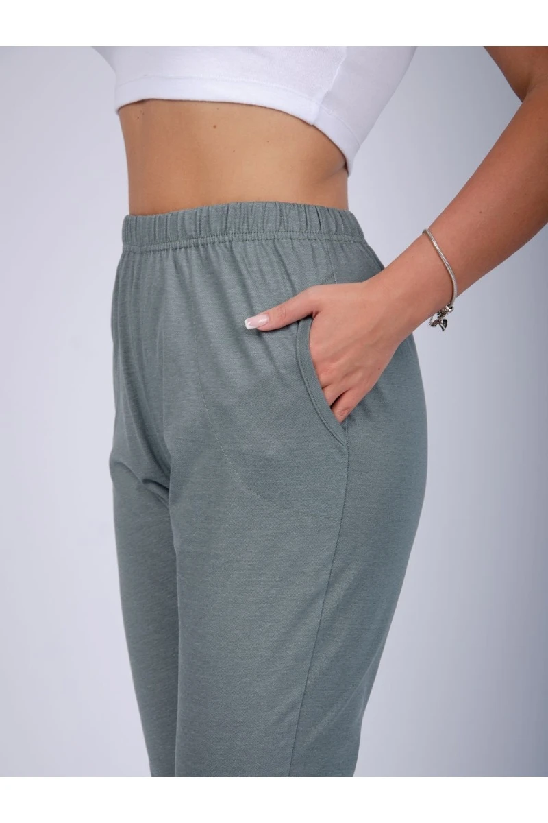 Бриджи Аморе (полынь)