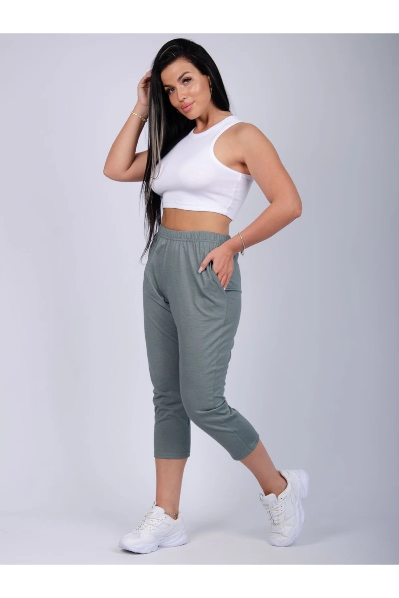 Бриджи Аморе (полынь)