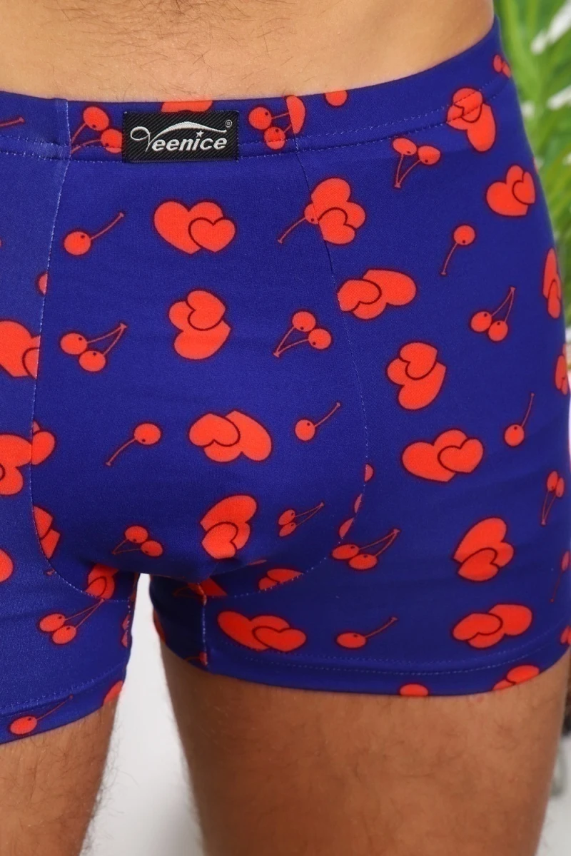 Трусы 64948 (мультицвет)