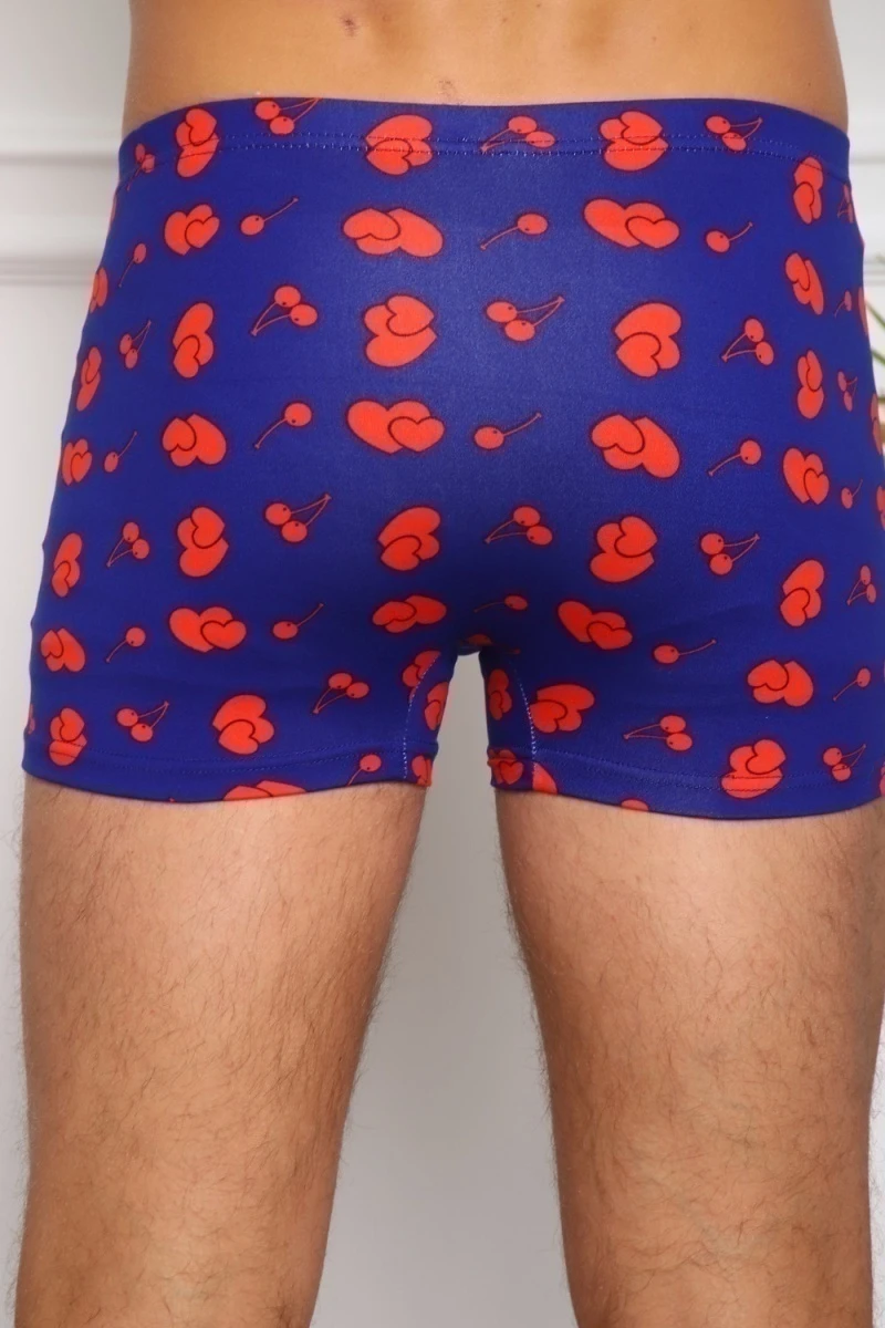 Трусы 64948 (мультицвет)