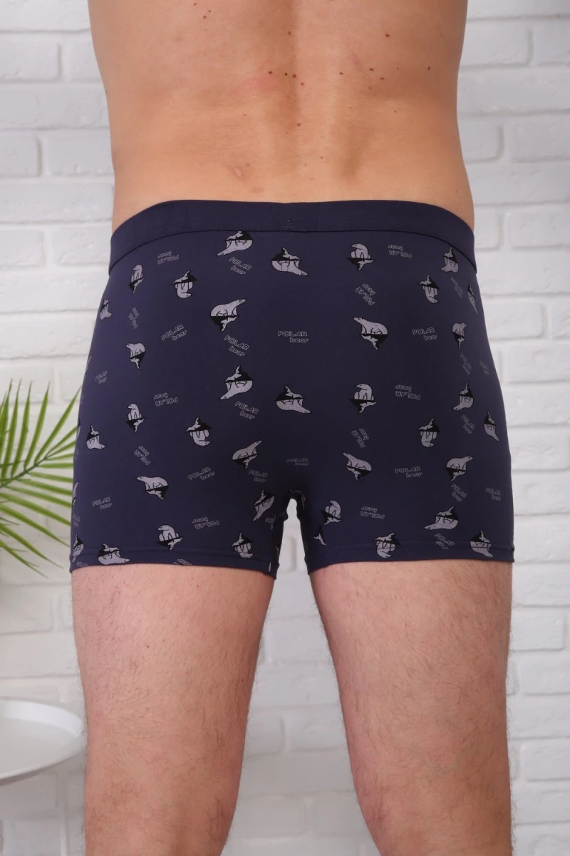 Трусы 64946 (мультицвет)