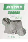 Трусы ADN арт. 2707 (серый)