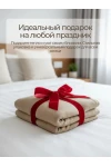 Плед Флисовый бежевый 100% полиэстер, плотность 160 г/м2 (в ассортименте)