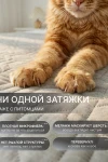 Покрывало стеганное двухстороннее катионик MOONBEAN (в ассортименте)