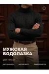 Водолазка 14641 (черный)
